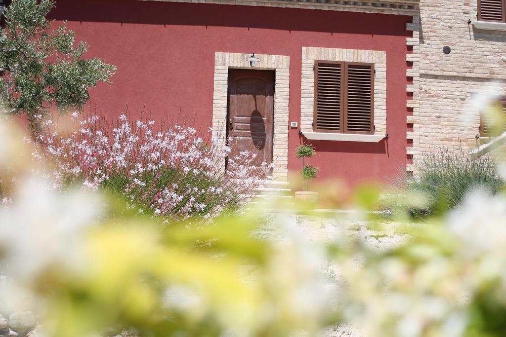 オッフィダ Dimora Rosso Piceno Bed & Breakfast エクステリア 写真